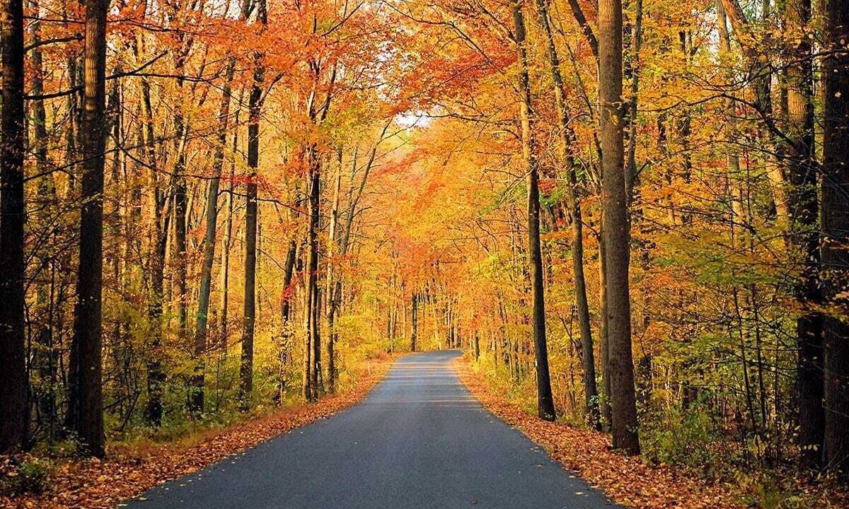 Photo of Others in Scranton
