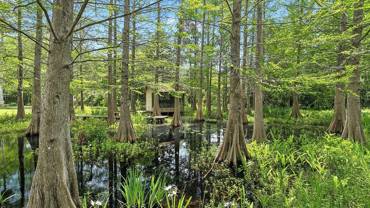 Photo of Outdoor in Covington