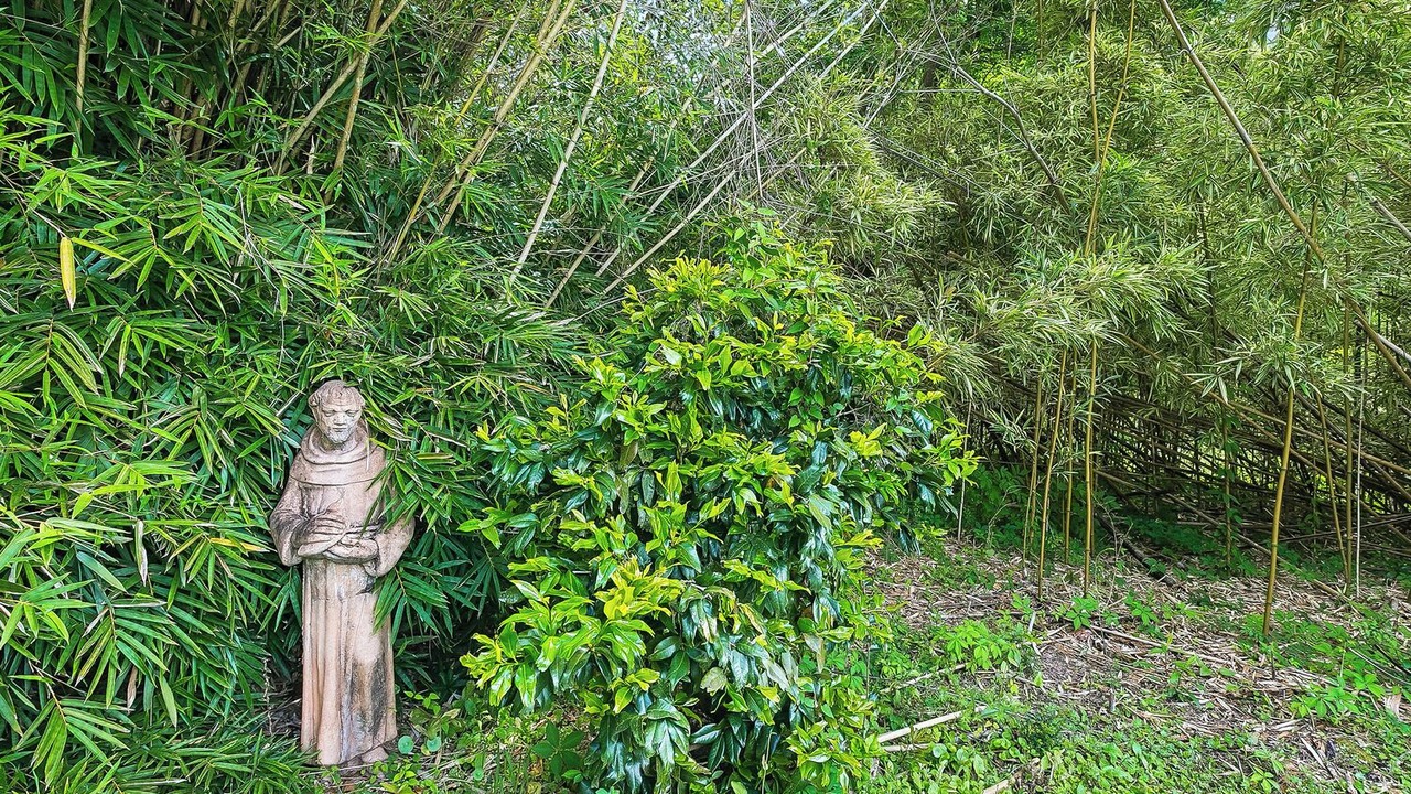 Photo of Outdoor in Covington