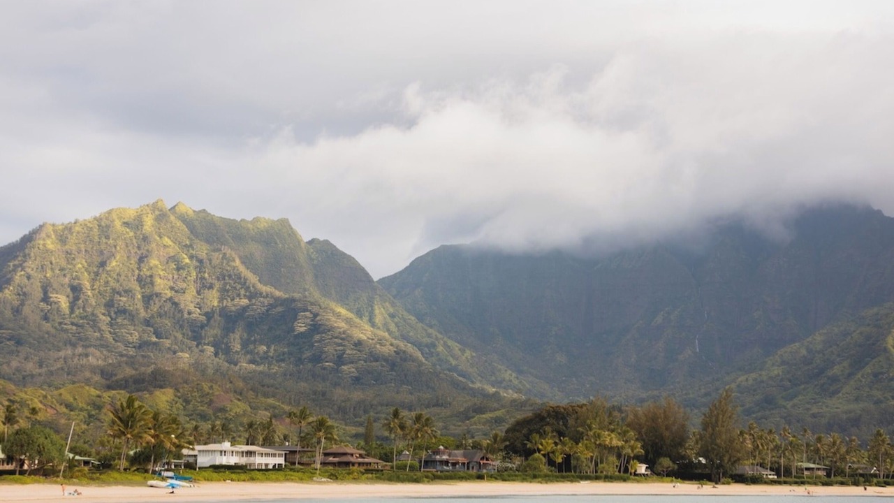 Photo of Others in Princeville