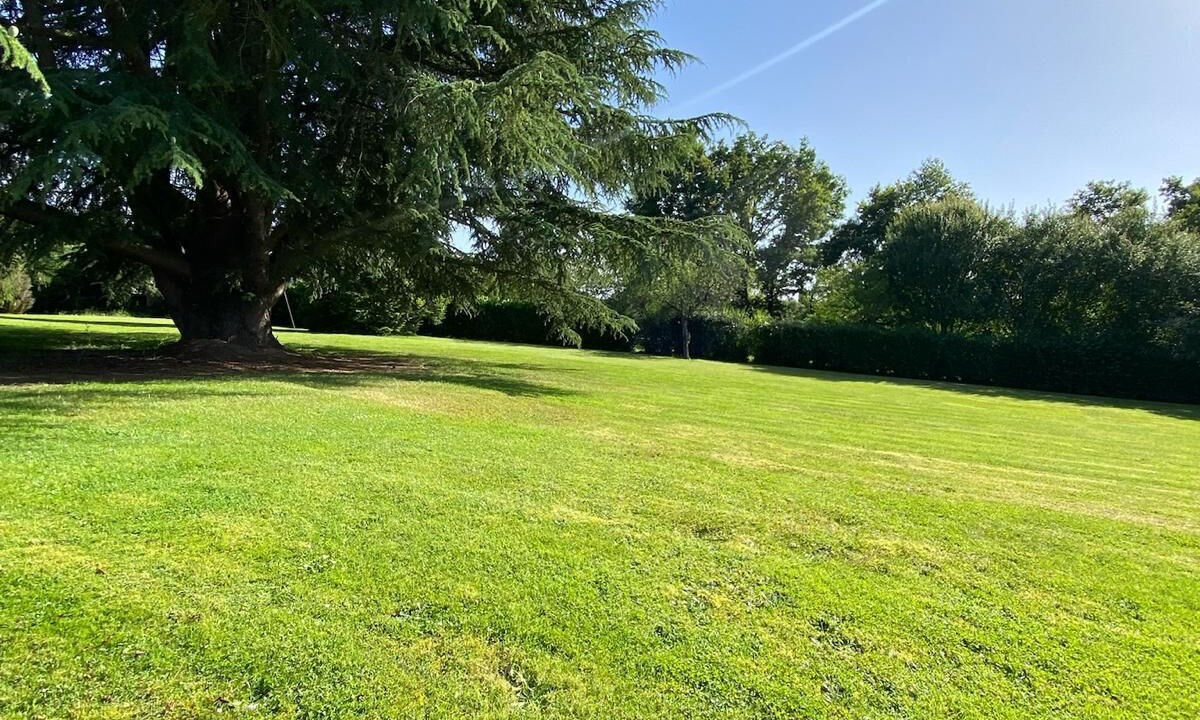 Photo of Others in Blennes