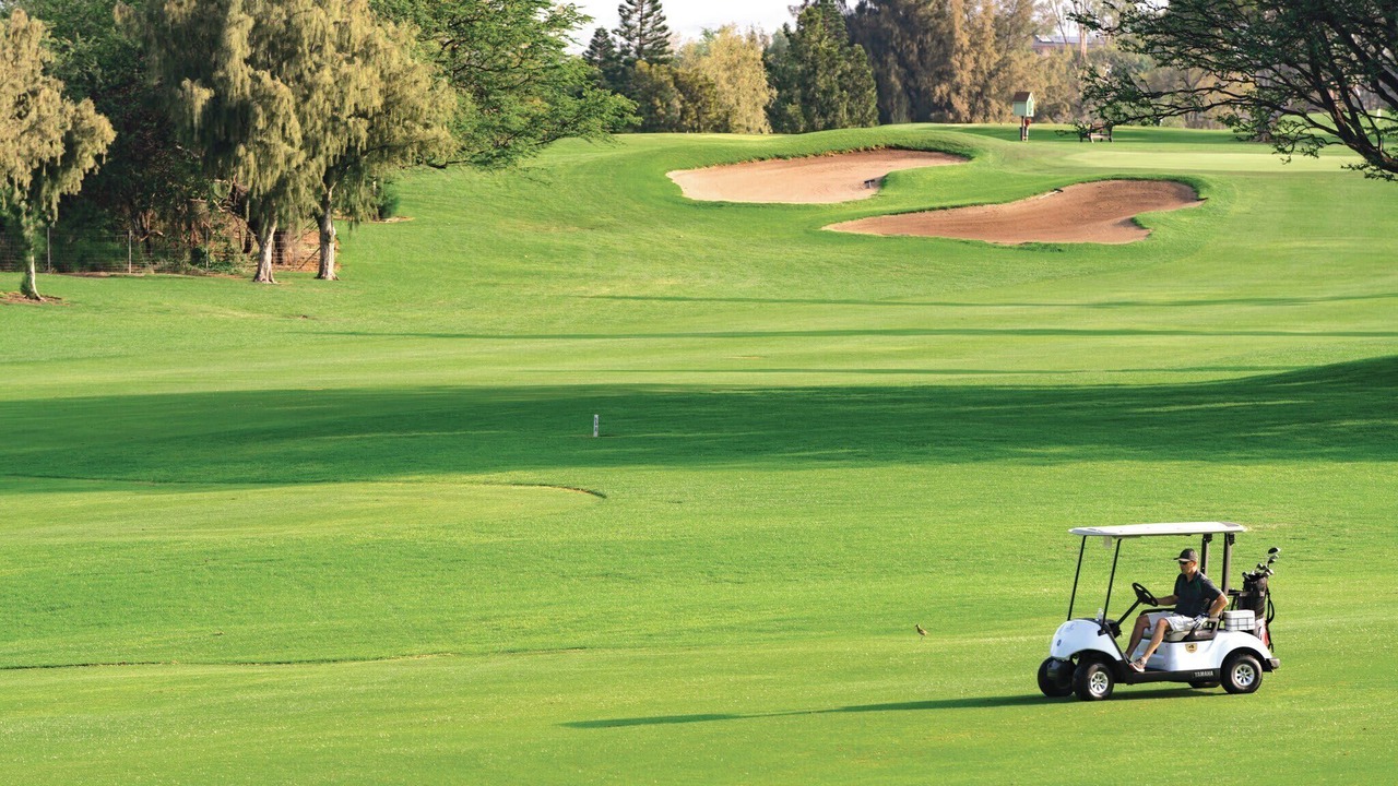 Photo of Others in Waikoloa Village
