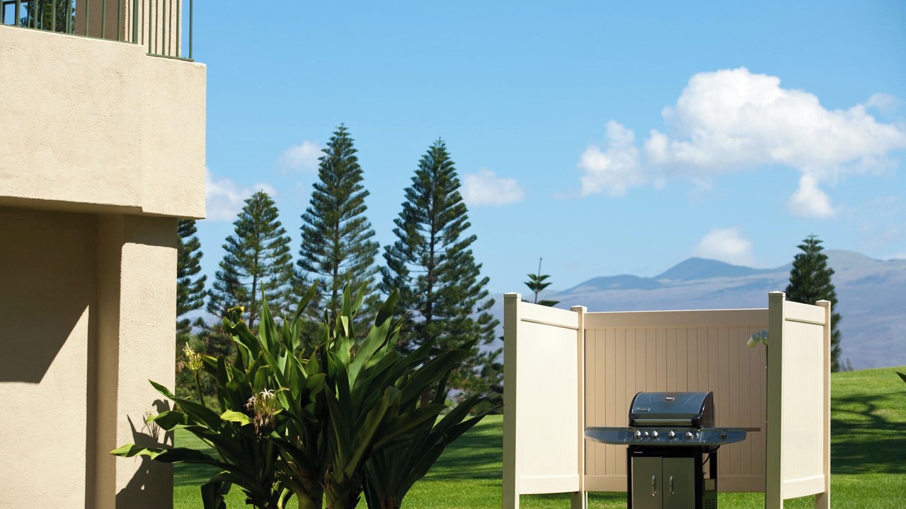 Photo of Outdoor in Waikoloa