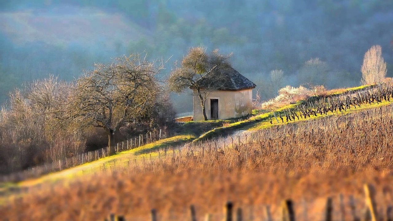 Photo of Outdoor in Meuilley