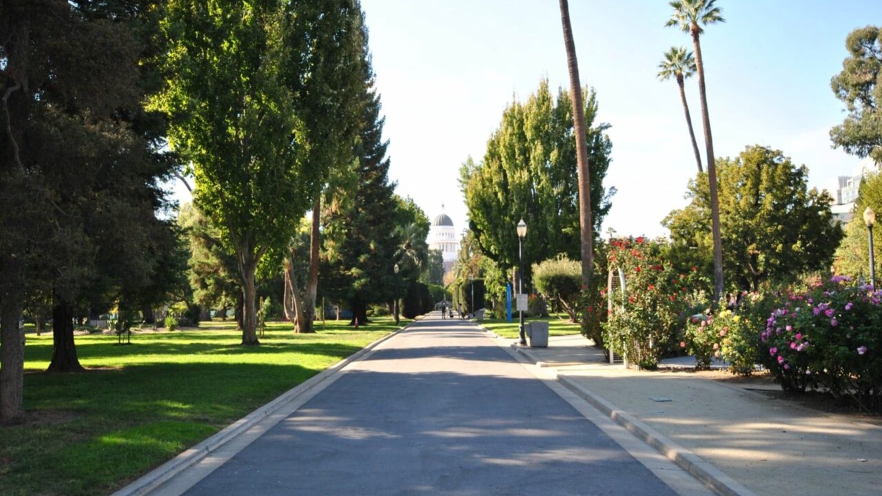 Photo of Others in Sacramento