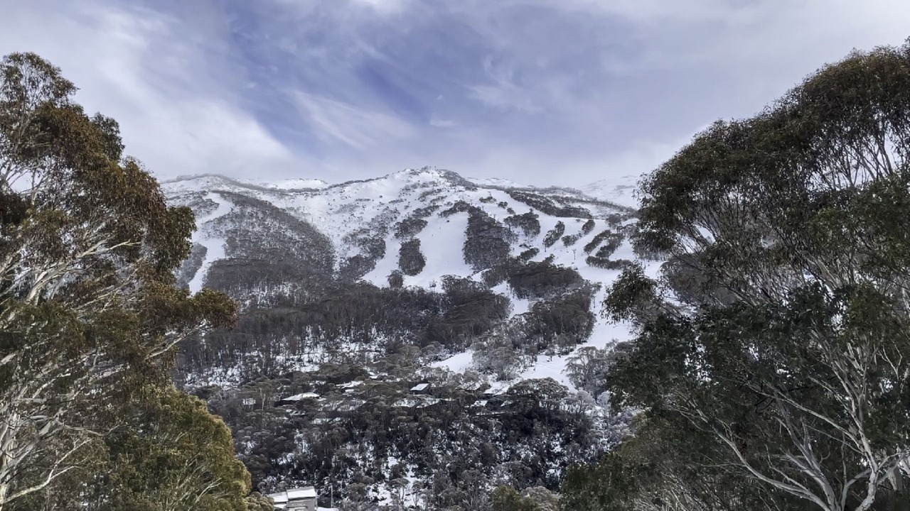 Photo of Others in Thredbo