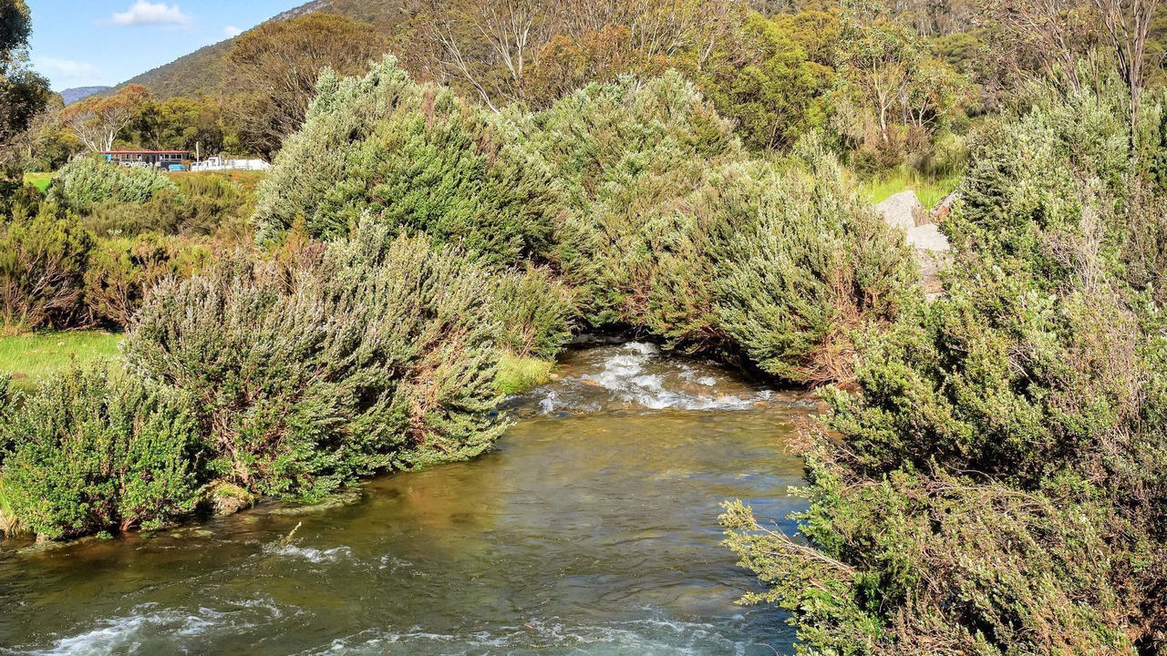 Photo of Others in Thredbo