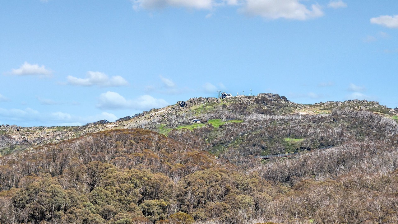 Photo of Others in Thredbo