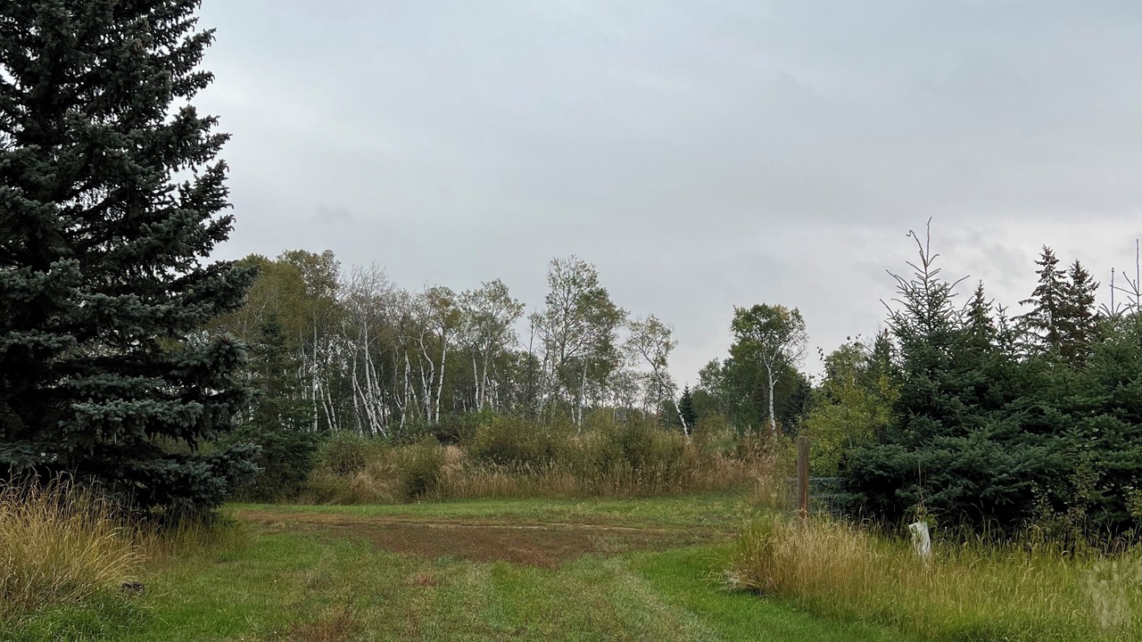 Photo of Others in Clavet
