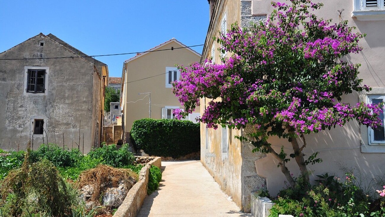 Photo of Outdoor in Veli Rat