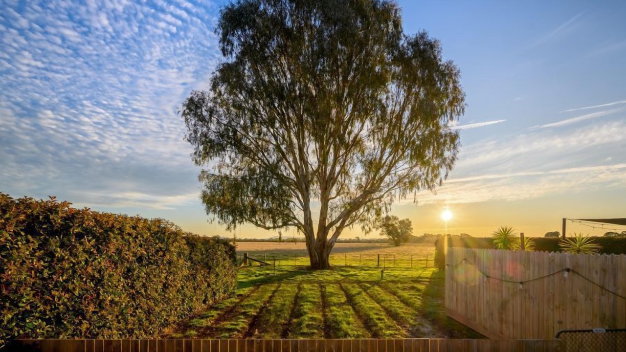 Photo of Others in Milawa