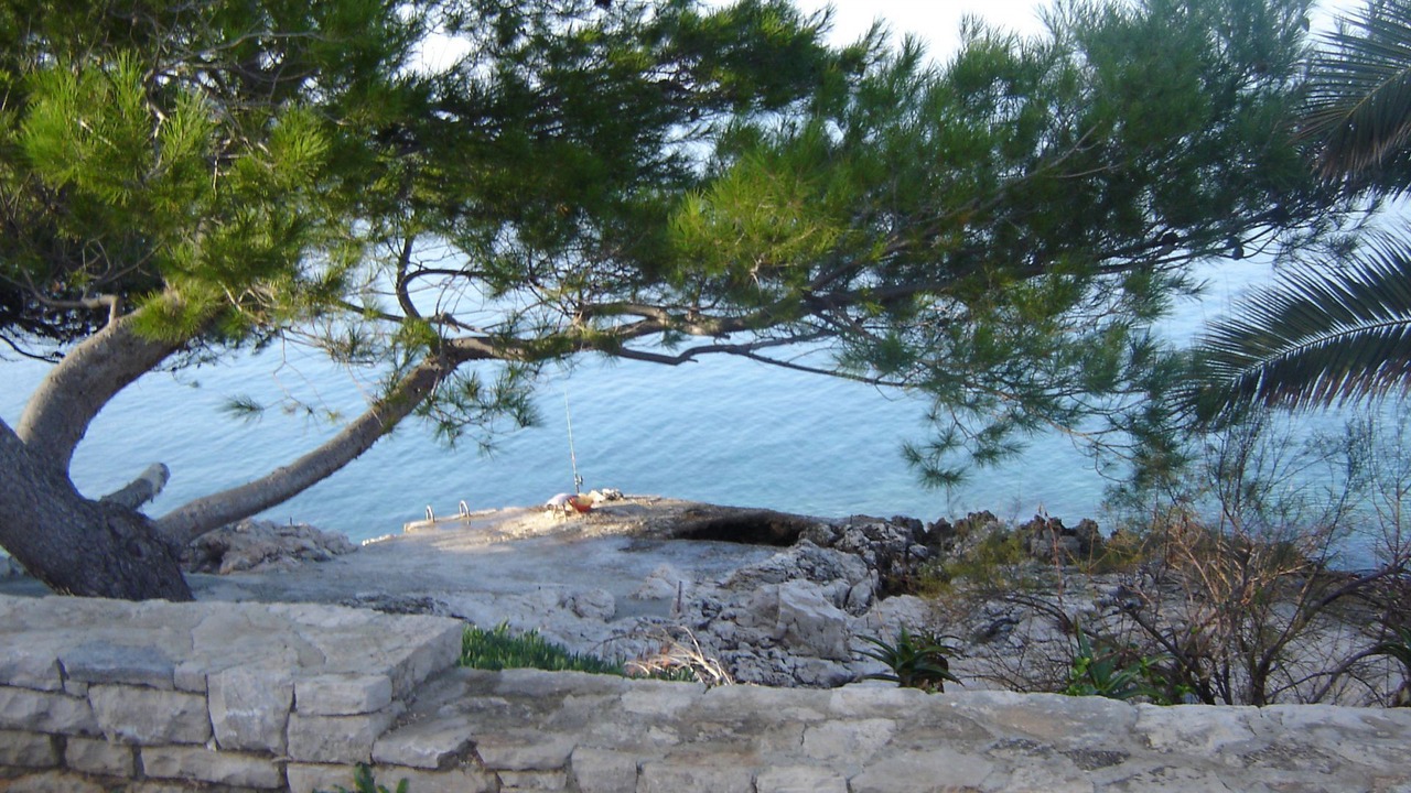 Photo of Outdoor in Stomorska
