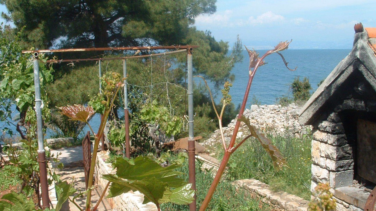 Photo of Outdoor in Stomorska