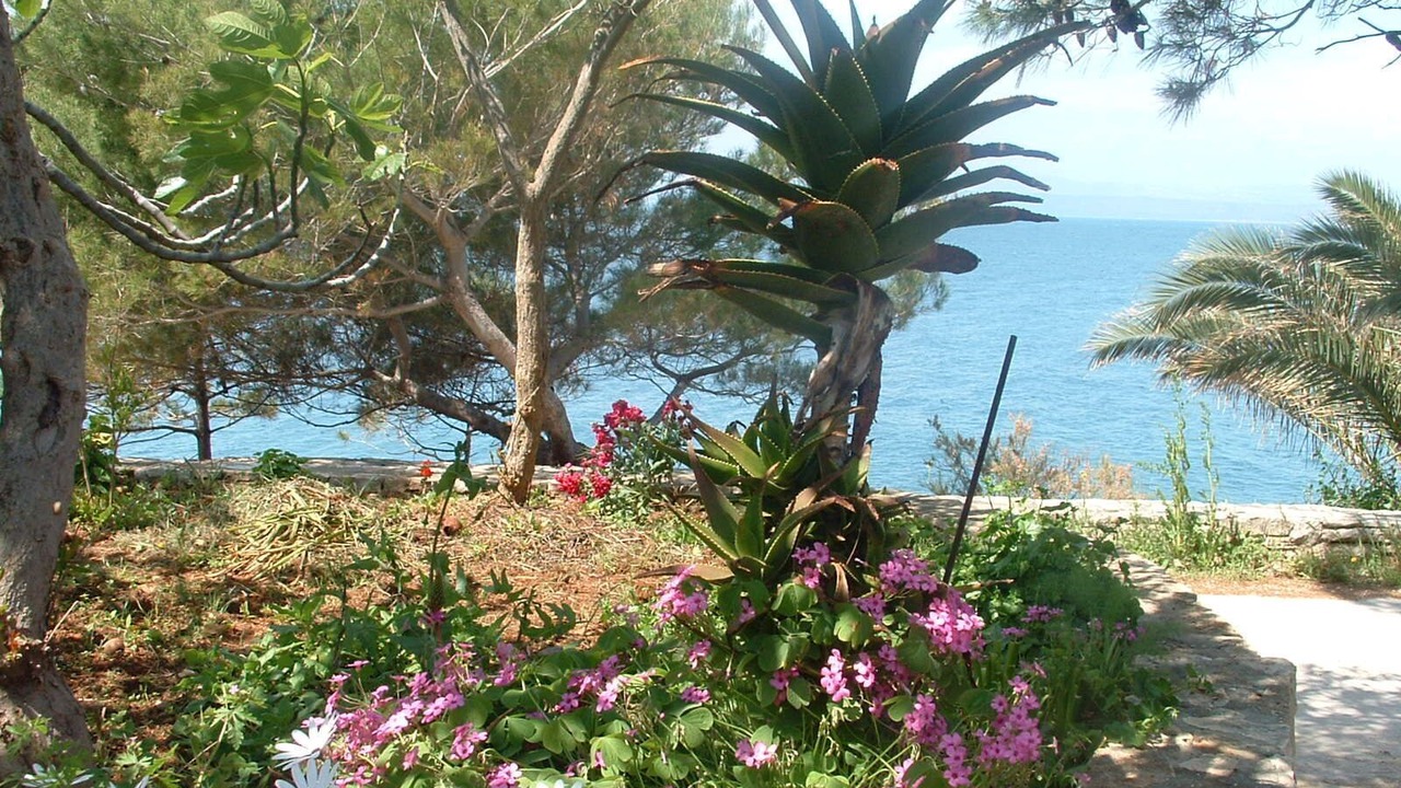 Photo of Outdoor in Stomorska