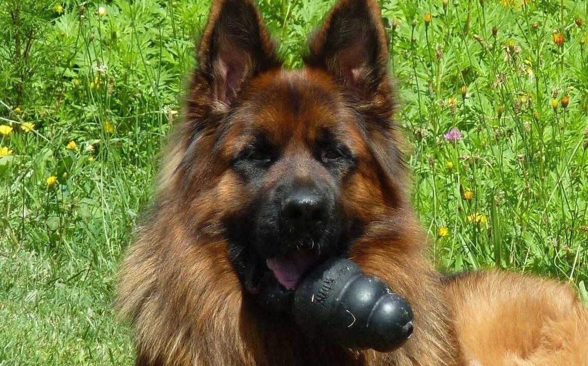Photo of Others in Gouzens