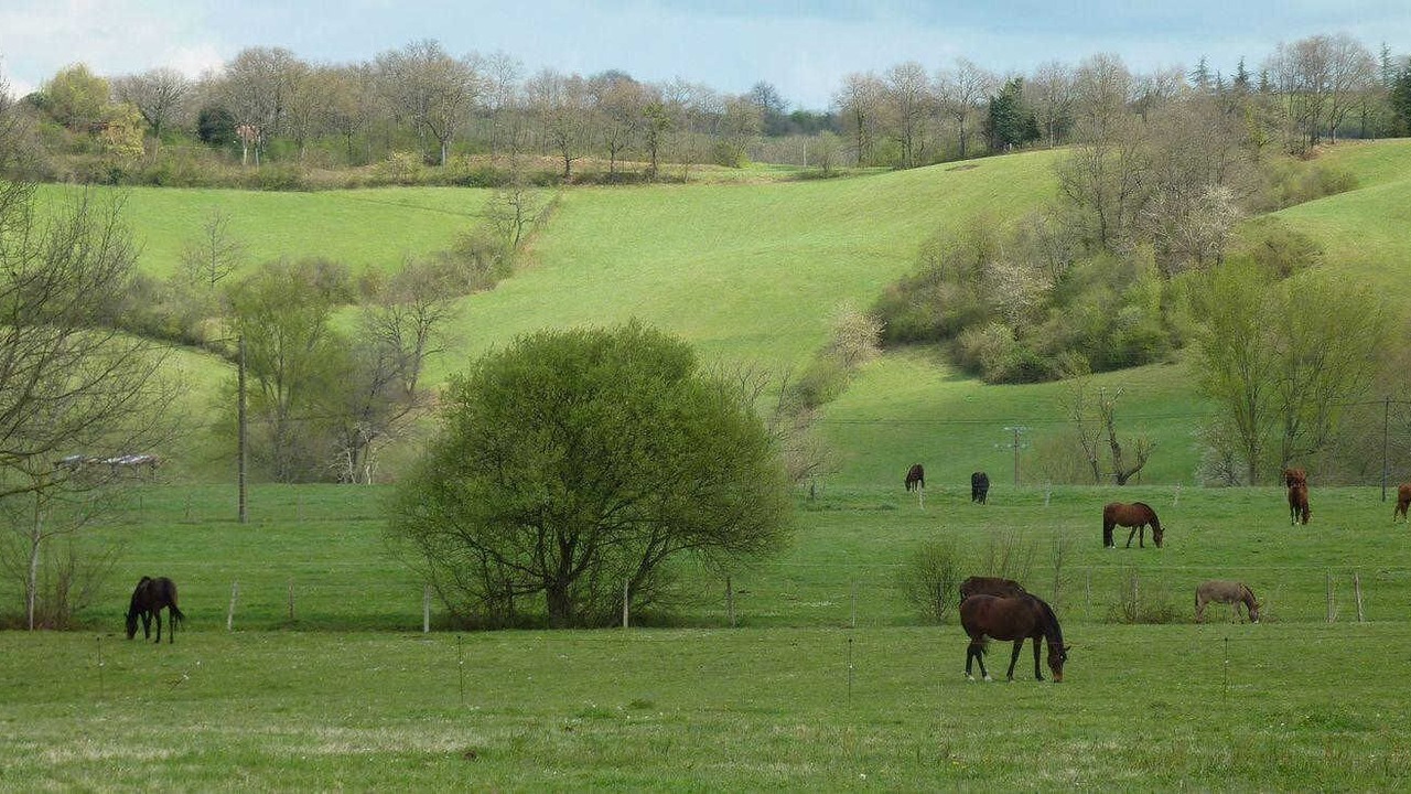 Photo of Others in Gouzens