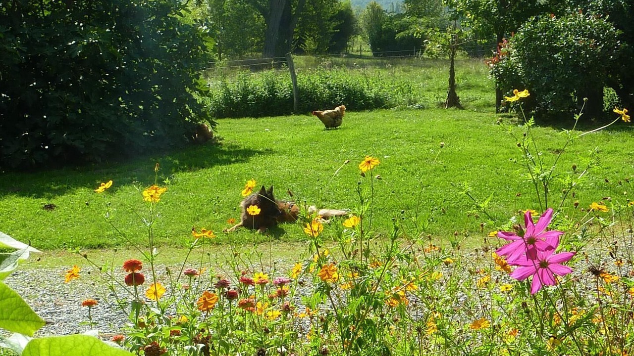 Photo of Outdoor in Gouzens
