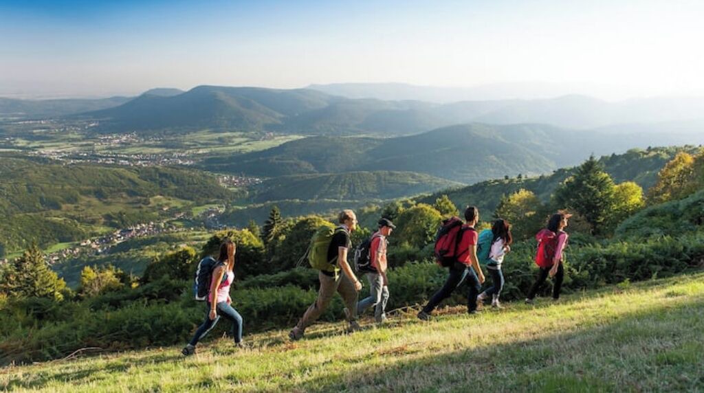 Photo of Others in Lure