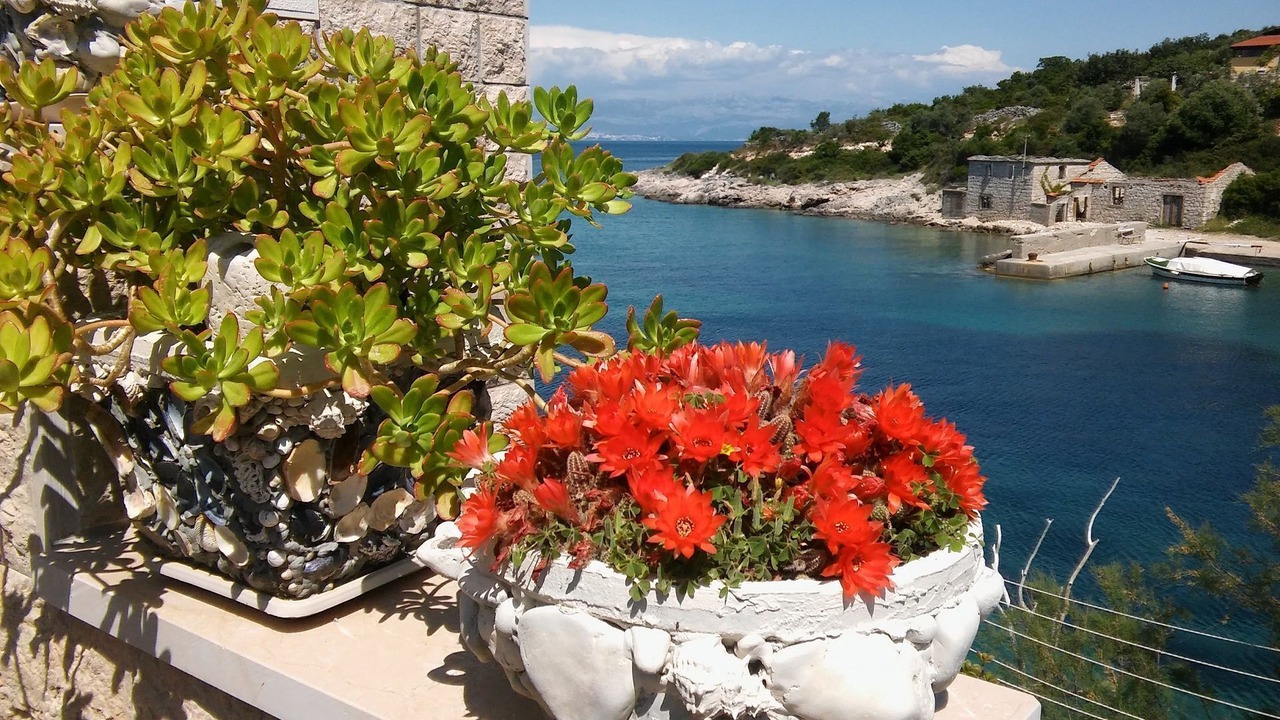 Photo of Outdoor in Donje Selo