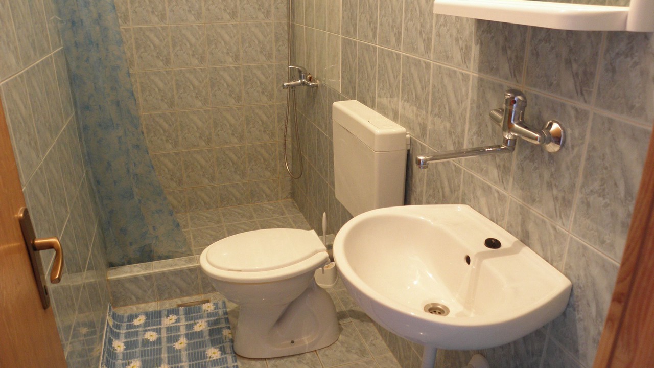 Photo of Bathroom in Vlasici
