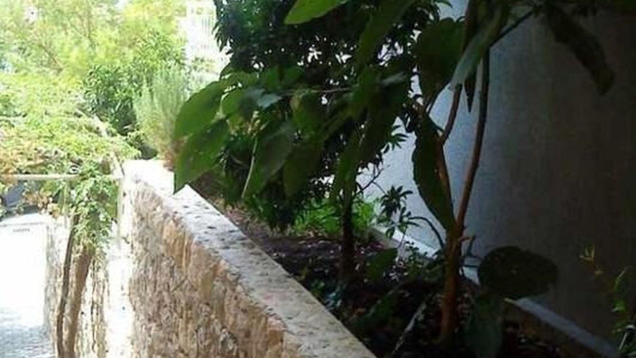 Photo of Outdoor in Bili brig