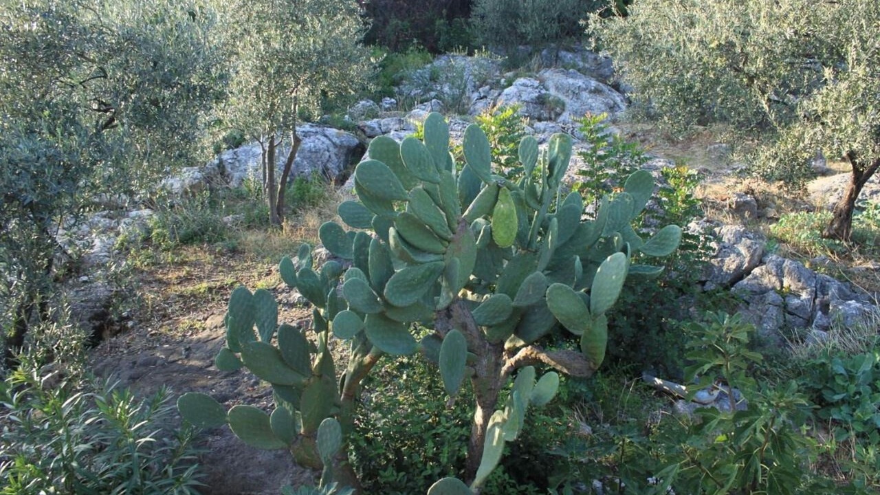 Photo of Others in Molunat