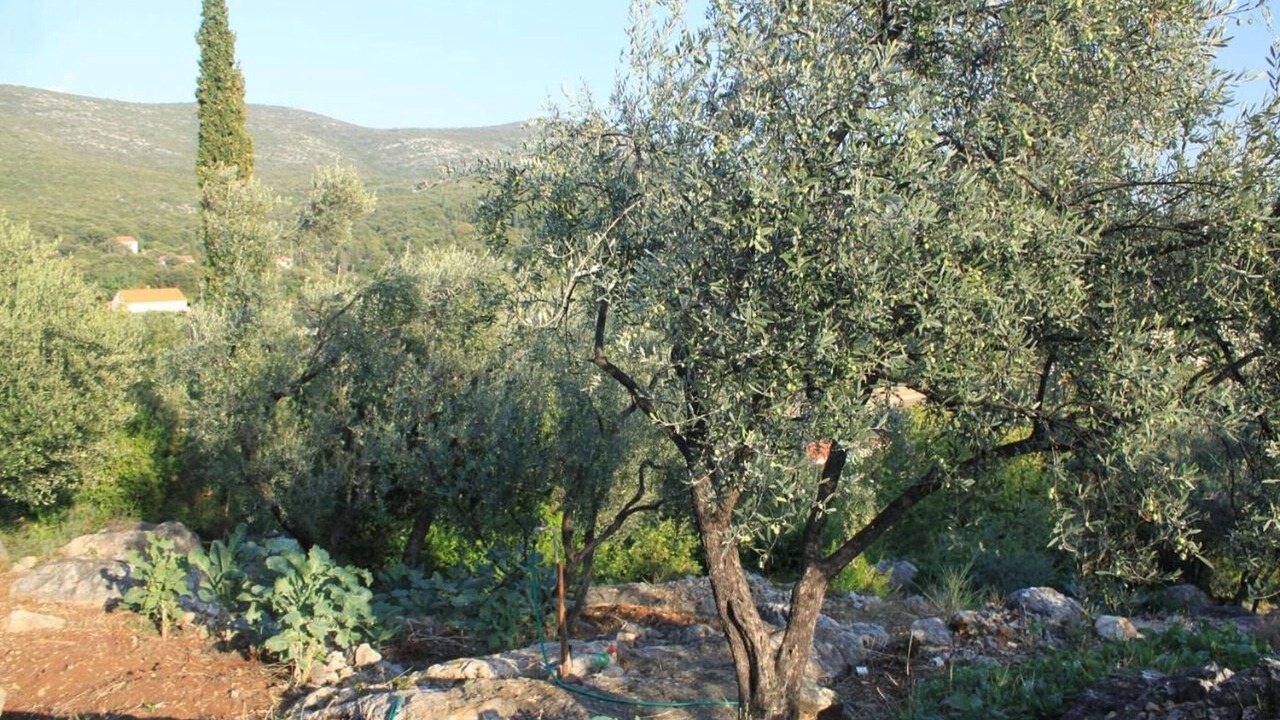Photo of Others in Molunat
