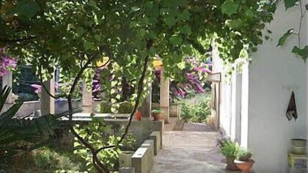 Photo of Outdoor in Knez