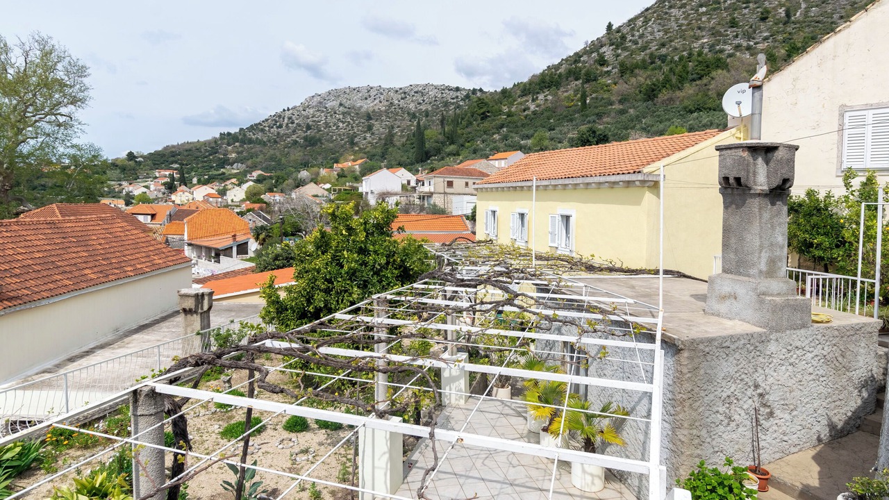 Photo of Outdoor in Trsteno