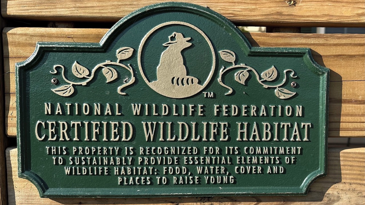 Photo of Outdoor in Honey Grove