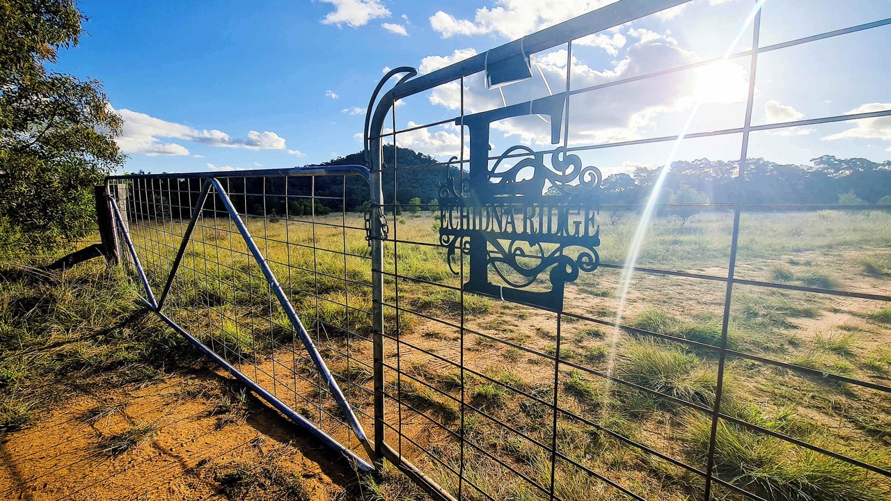 Photo of Outdoor in Coonabarabran