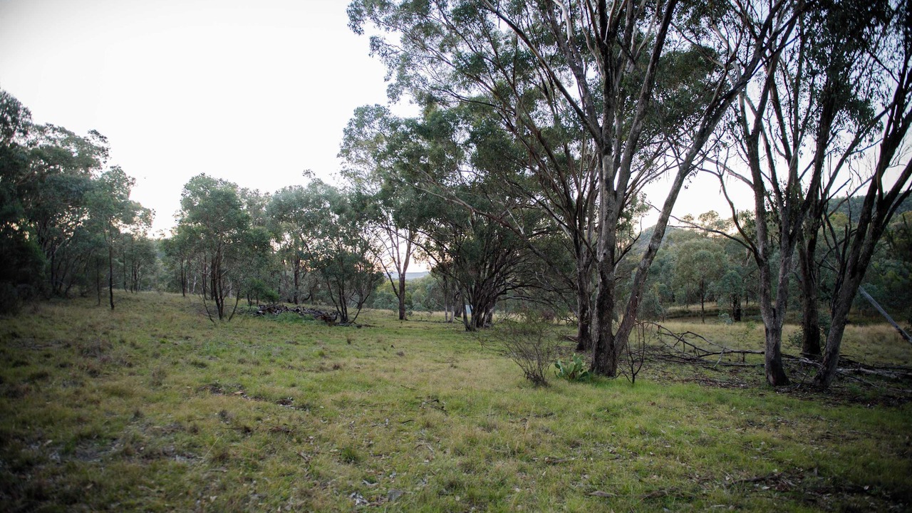 Photo of Others in Coonabarabran