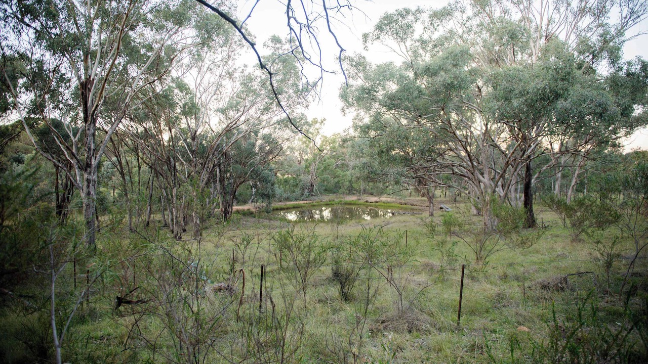 Photo of Others in Coonabarabran