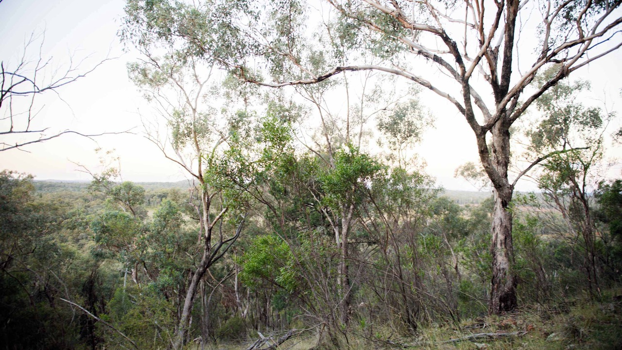 Photo of Others in Coonabarabran