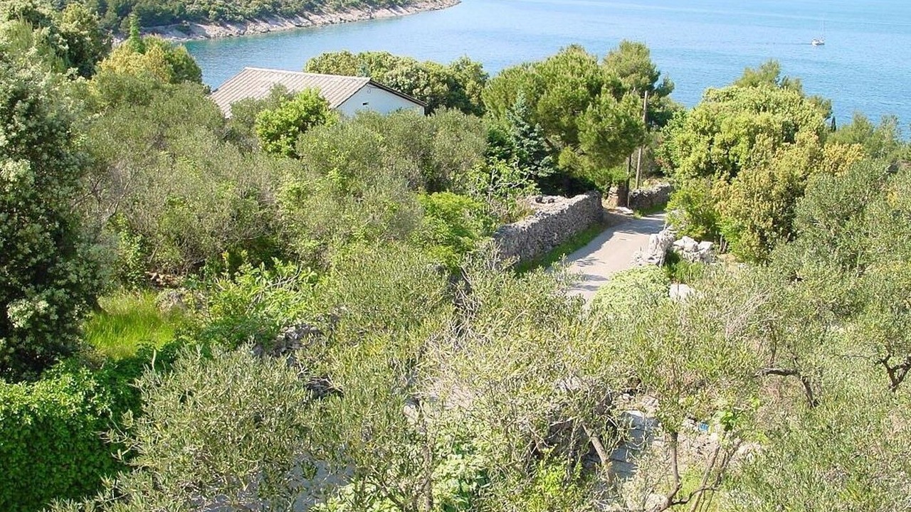 Photo of Others in Valun