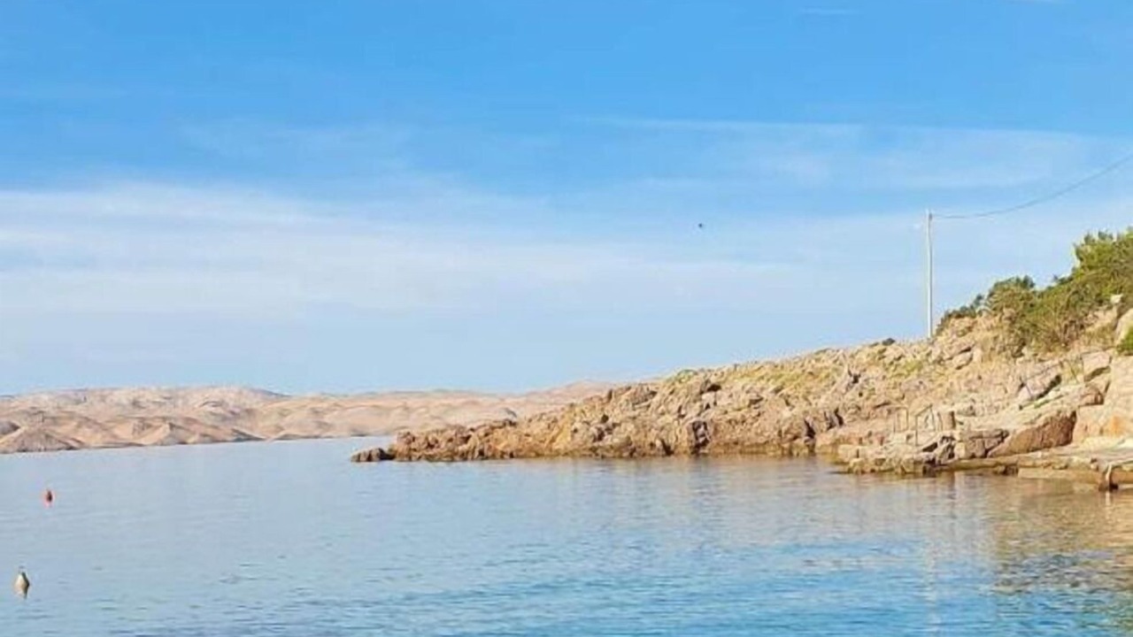 Photo of Others in Ribarica