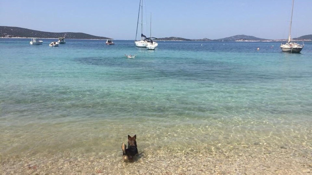 Photo of Others in Prvic Luka