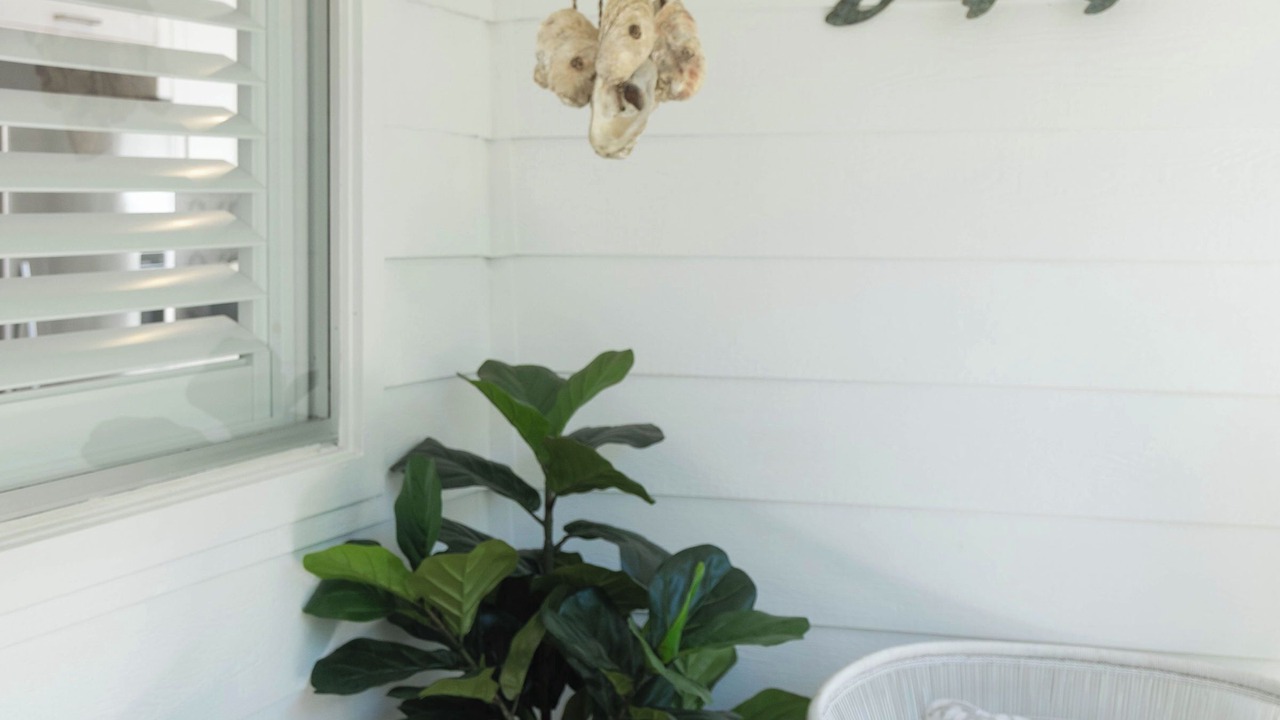 Photo of Others in Avalon Beach