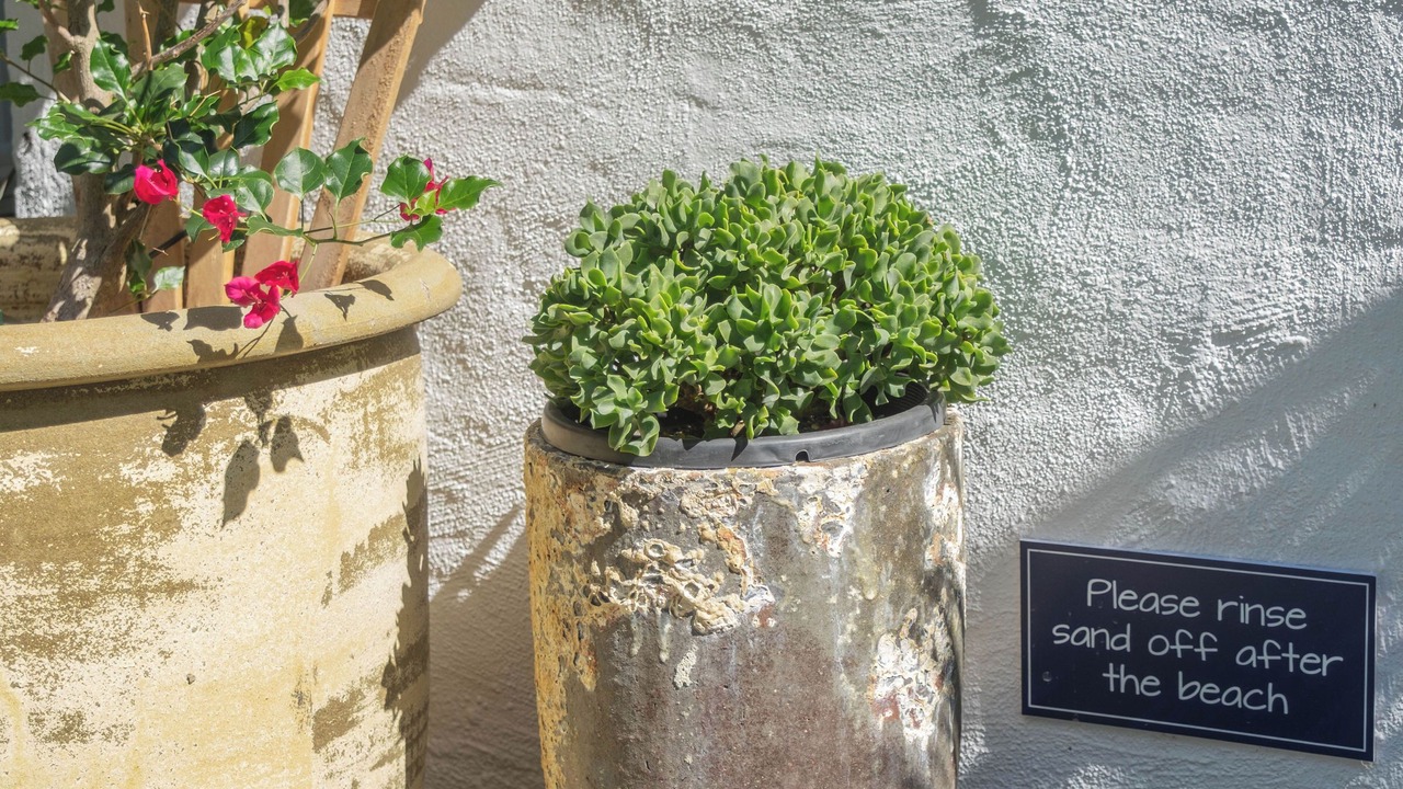 Photo of Outdoor in Avalon Beach