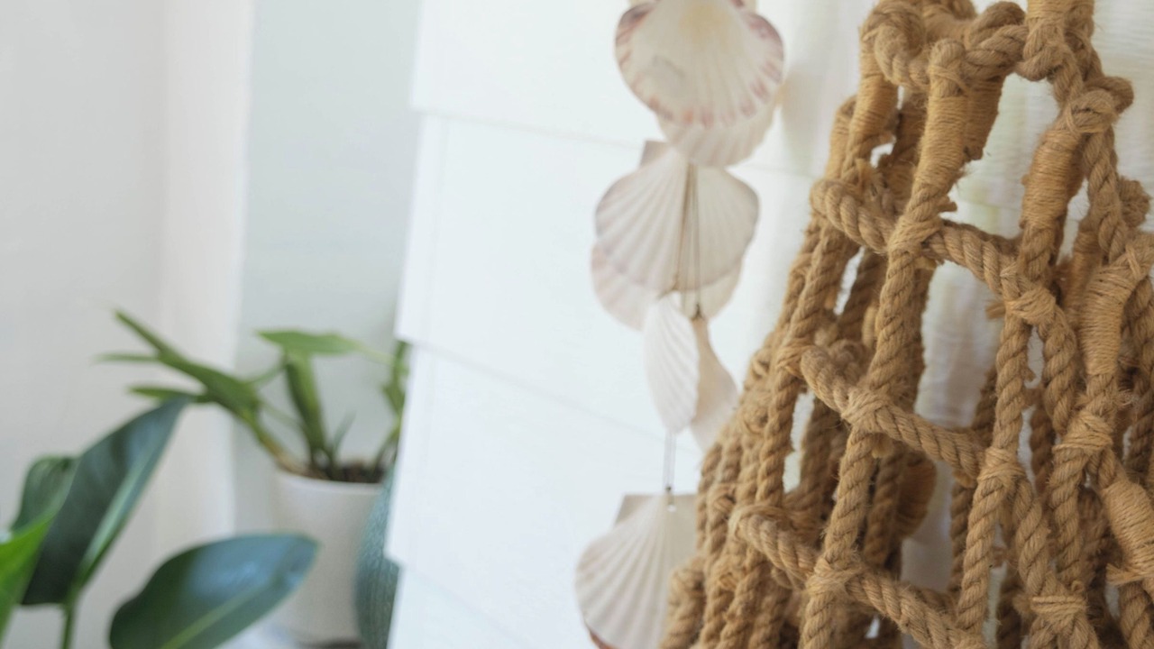 Photo of Others in Avalon Beach