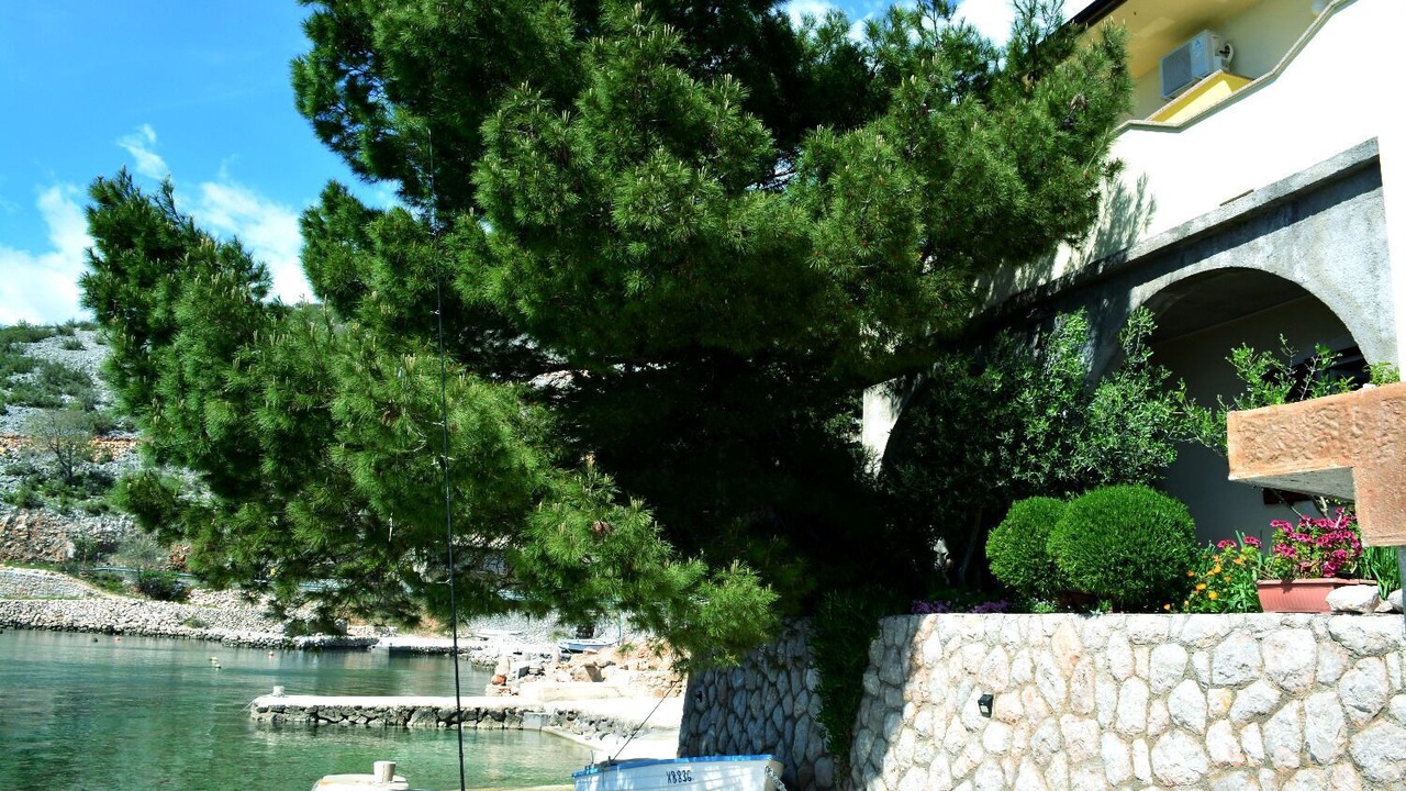 Photo of Outdoor in Baric Draga
