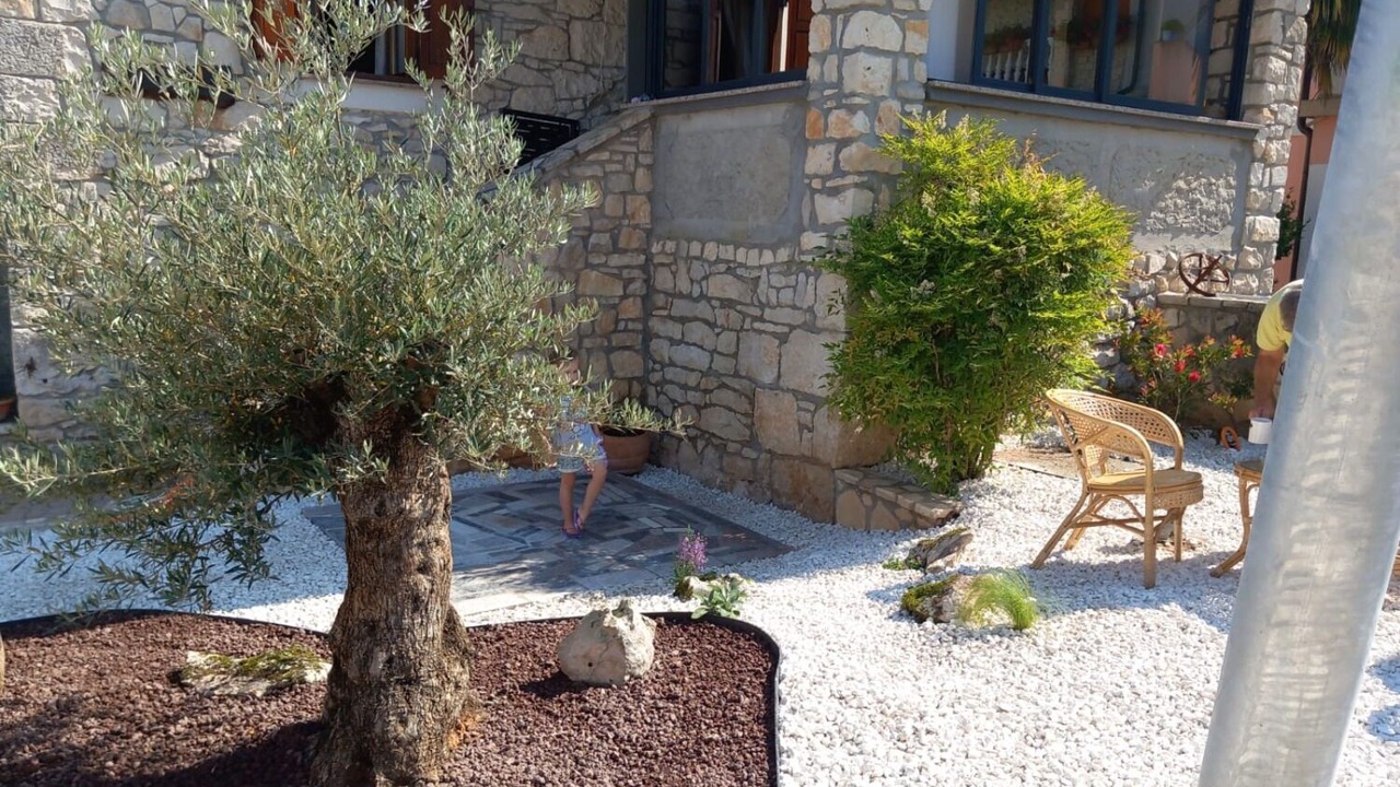 Photo of Outdoor in Boljevici