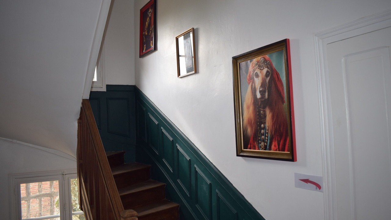 Photo of Others in Aubigny-sur-Nere