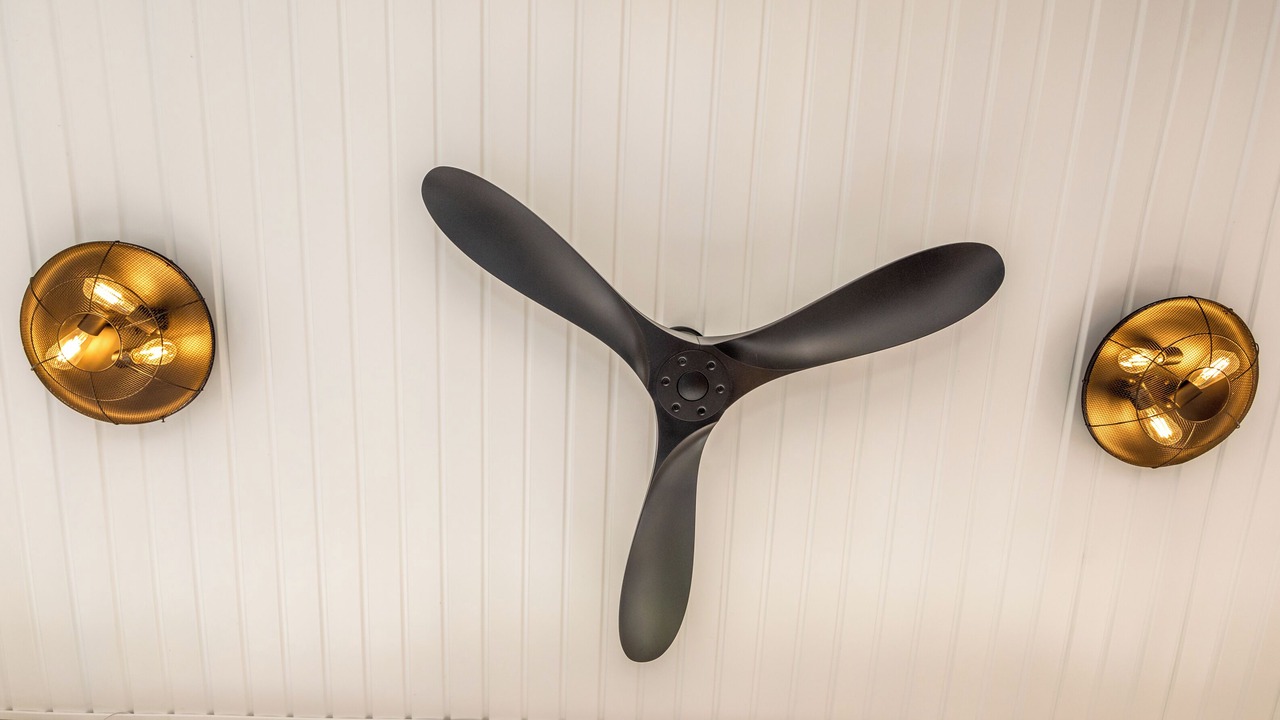 Photo of Others in Havre De Grace