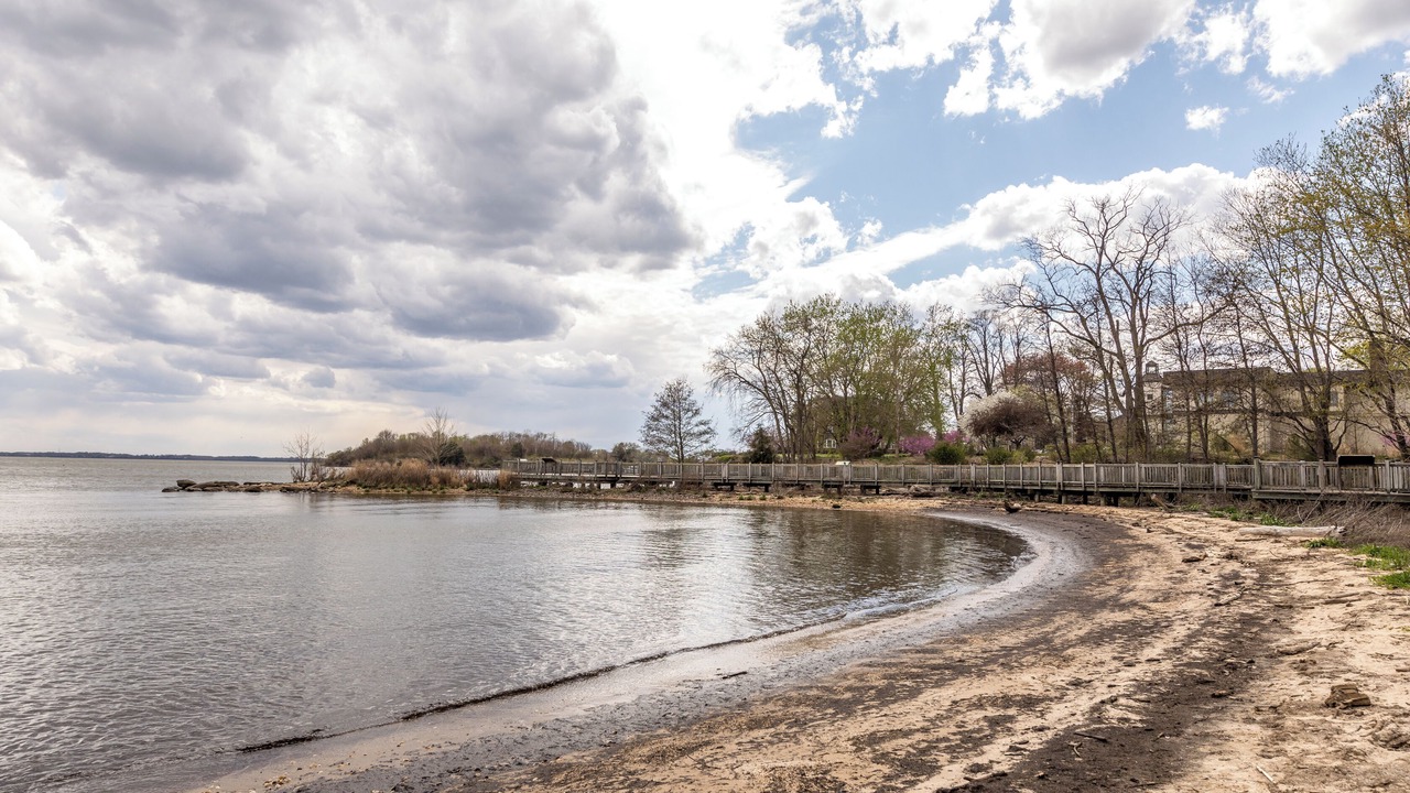 Photo of Others in Havre De Grace