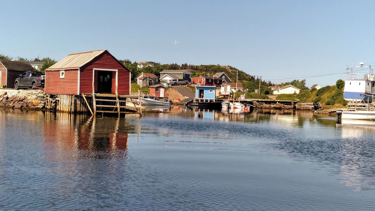 Photo of Others in Twillingate