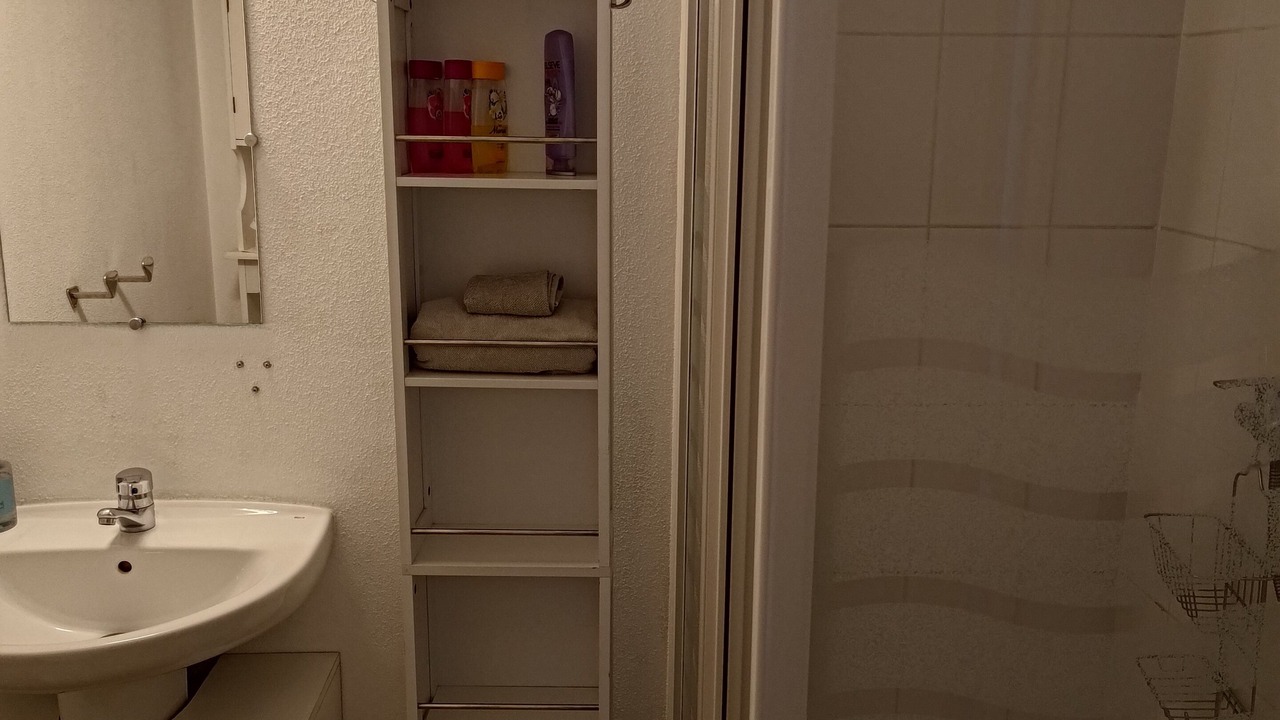 Photo of Bathroom in Malakoff