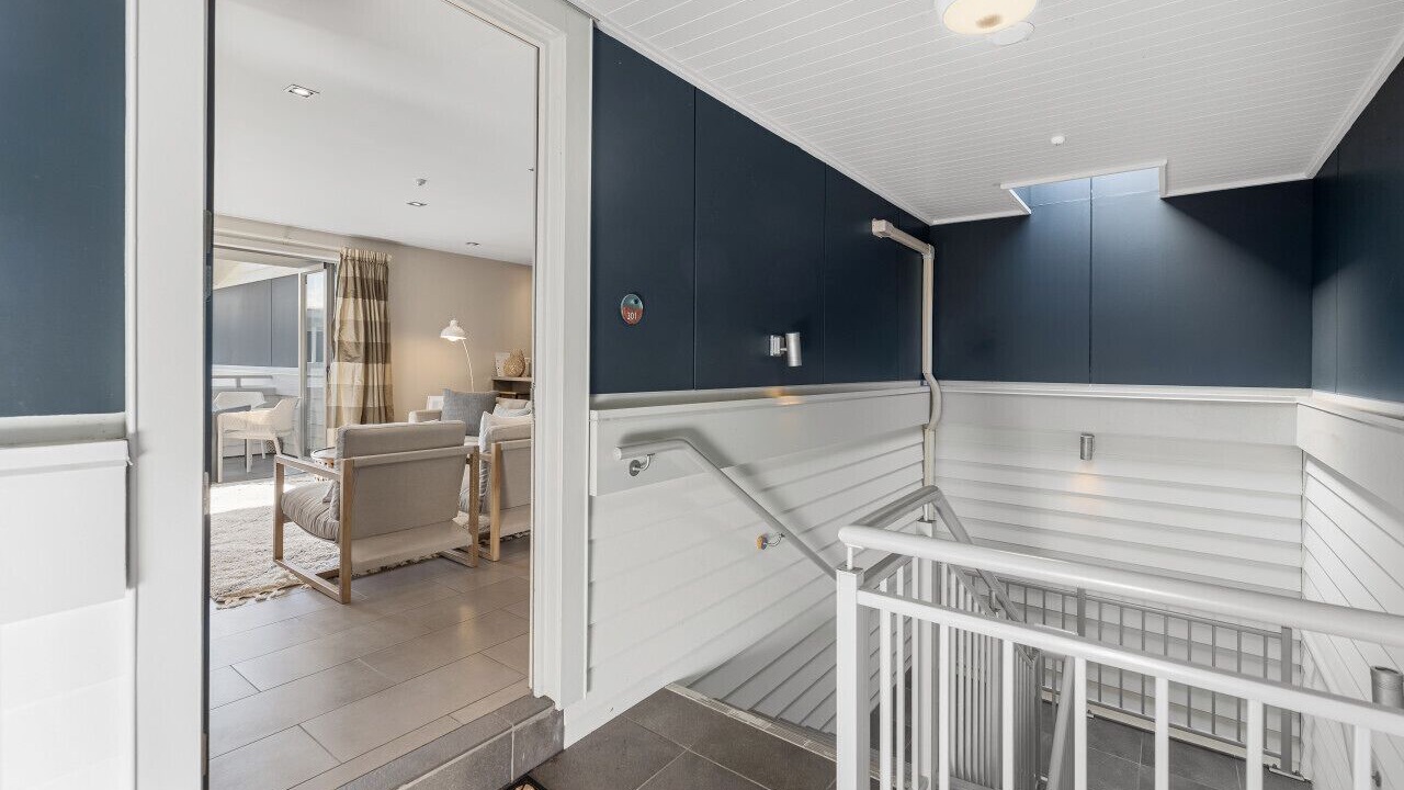 Photo of Others in Paihia