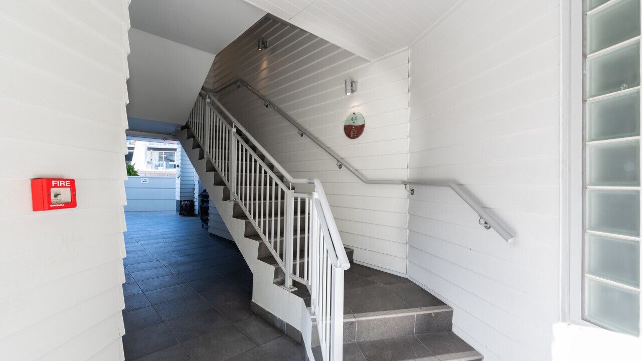 Photo of Others in Paihia