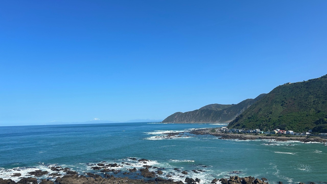 Photo of Others in Wellington